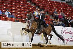 14buck_0676 proof