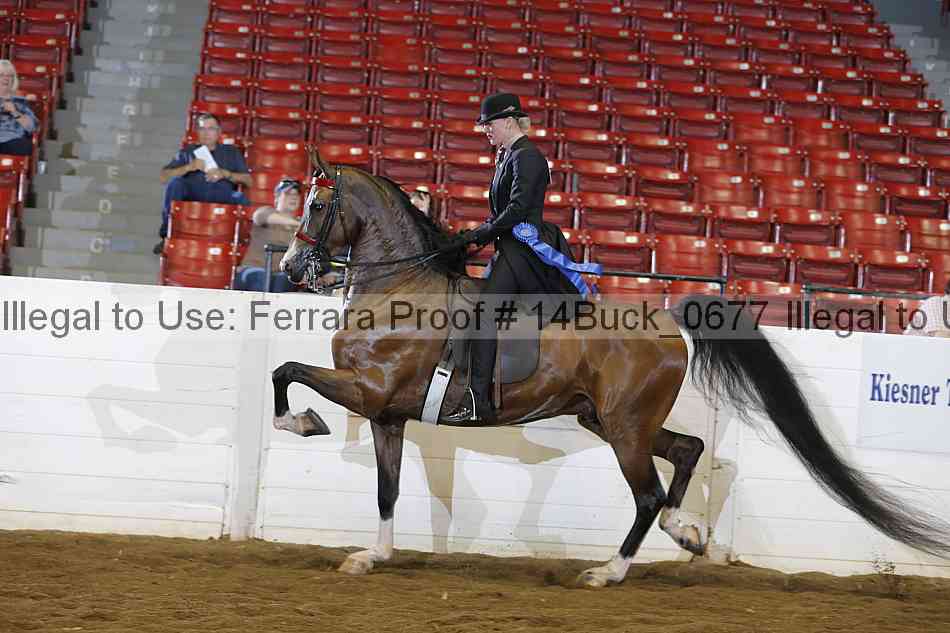 Proof 14buck_0677