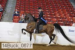 14buck_0677 proof