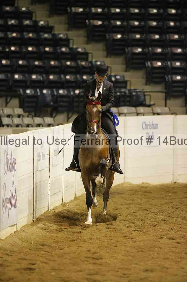 Proof 14buck_0678