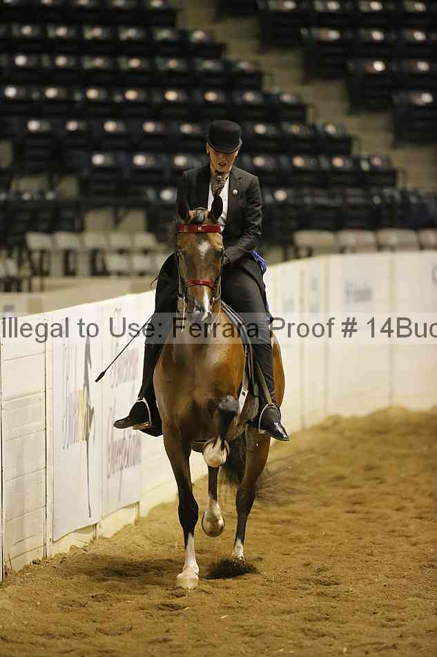 Proof 14buck_0680