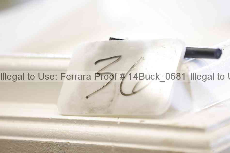 Proof 14buck_0681
