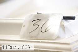 14buck_0681 proof