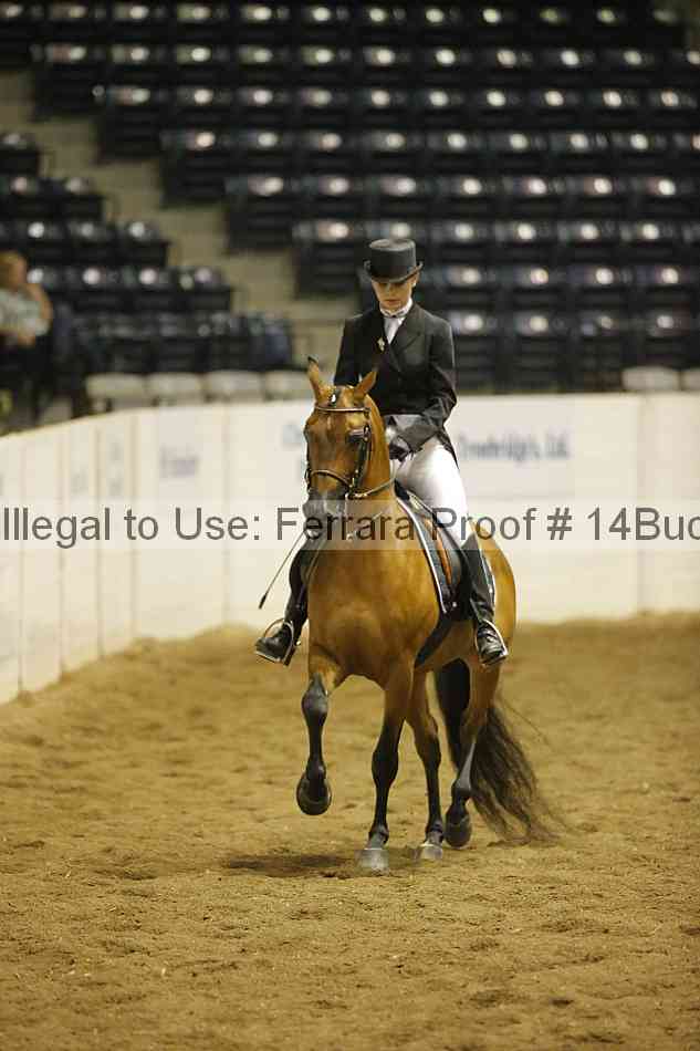 Proof 14buck_0685