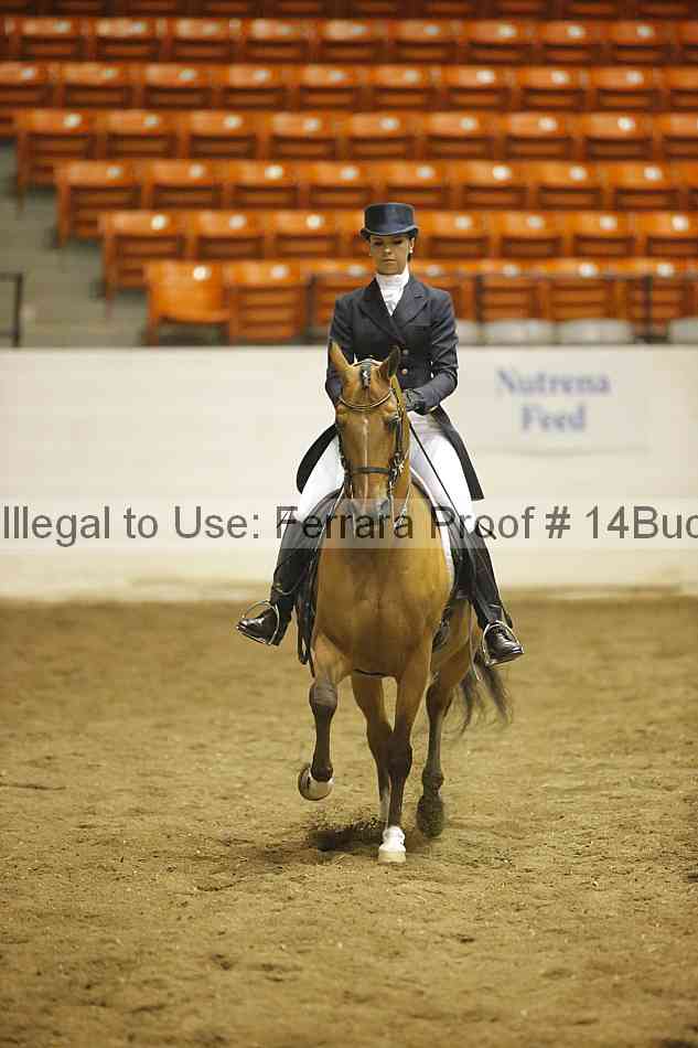 Proof 14buck_0686