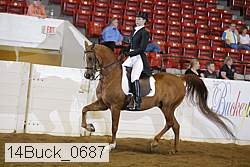 14buck_0687 proof