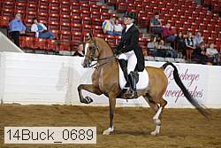 14buck_0689 proof