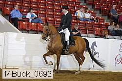 14buck_0692 proof