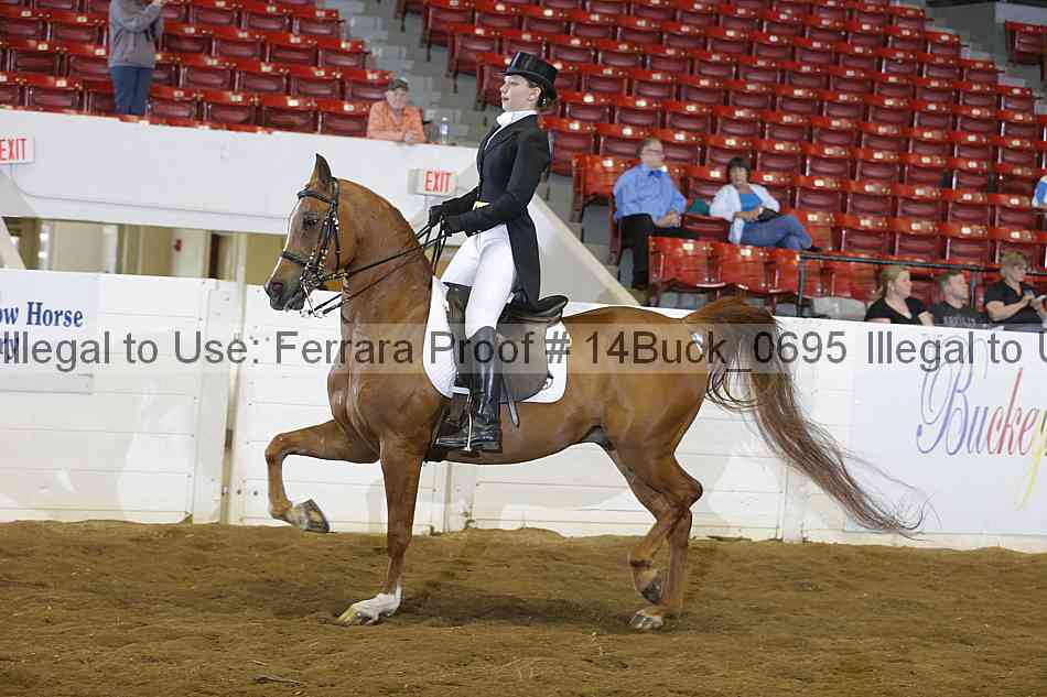 Proof 14buck_0695