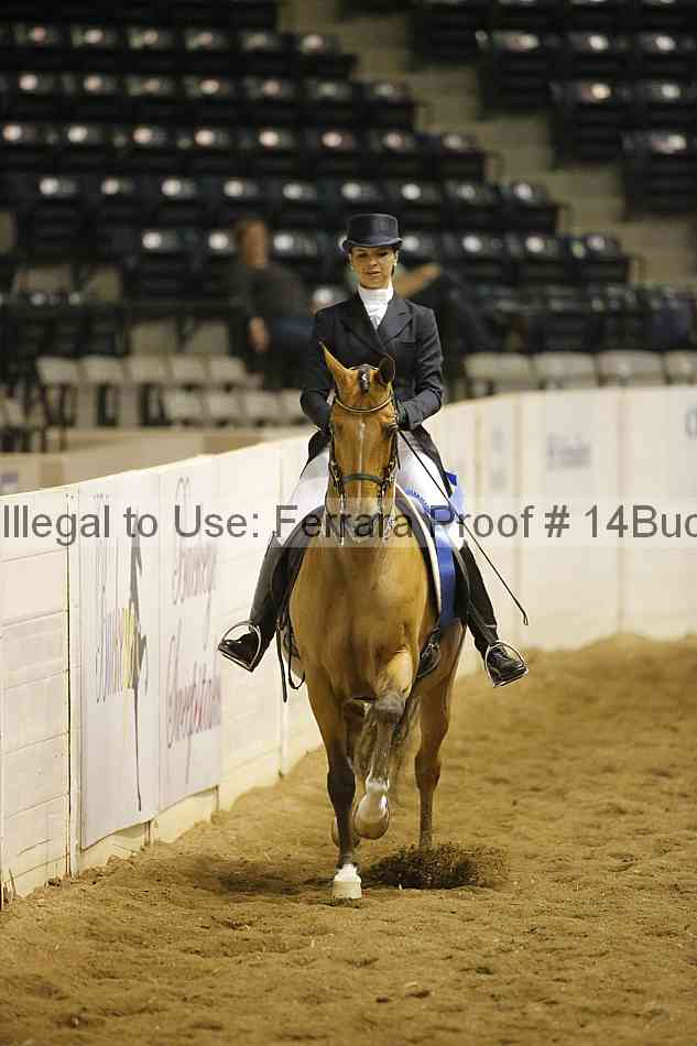 Proof 14buck_0699