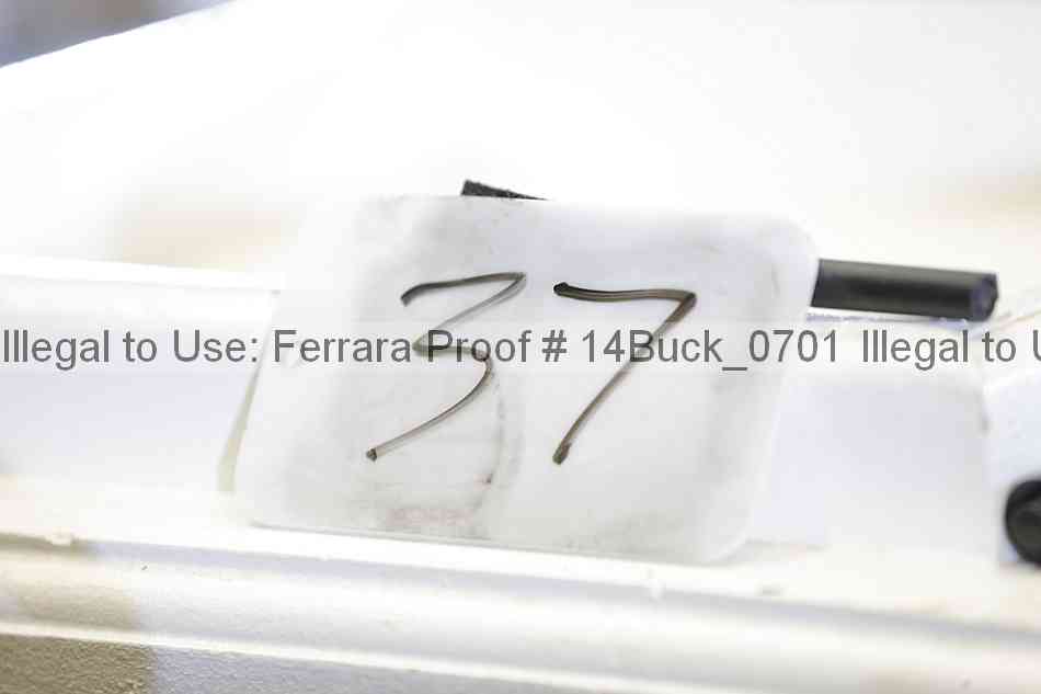 Proof 14buck_0701