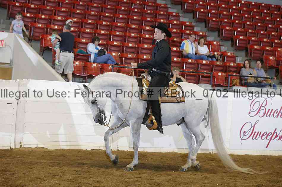 Proof 14buck_0702