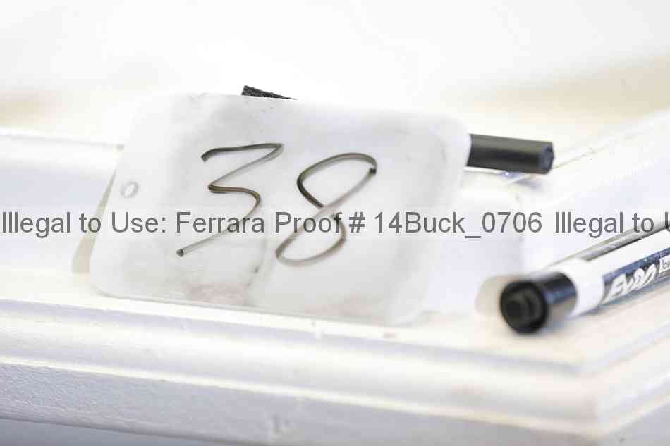 Proof 14buck_0706