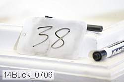 14buck_0706 proof