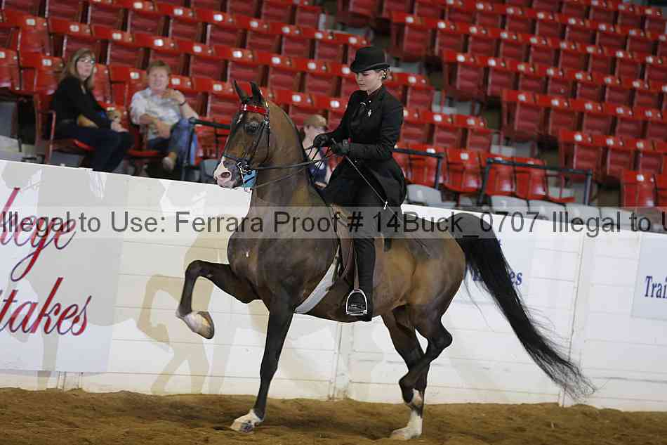 Proof 14buck_0707