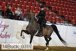 14buck_0707 proof