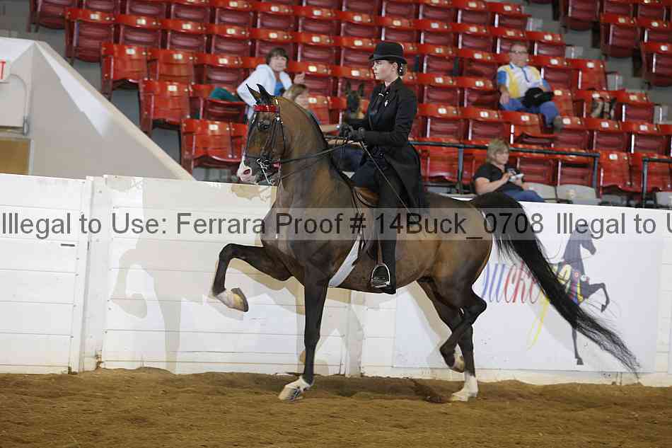 Proof 14buck_0708