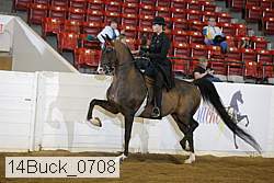 14buck_0708 proof