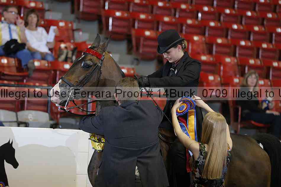 Proof 14buck_0709