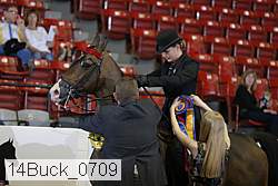 14buck_0709 proof