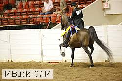 14buck_0714 proof