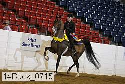 14buck_0715 proof