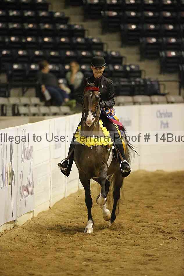 Proof 14buck_0718