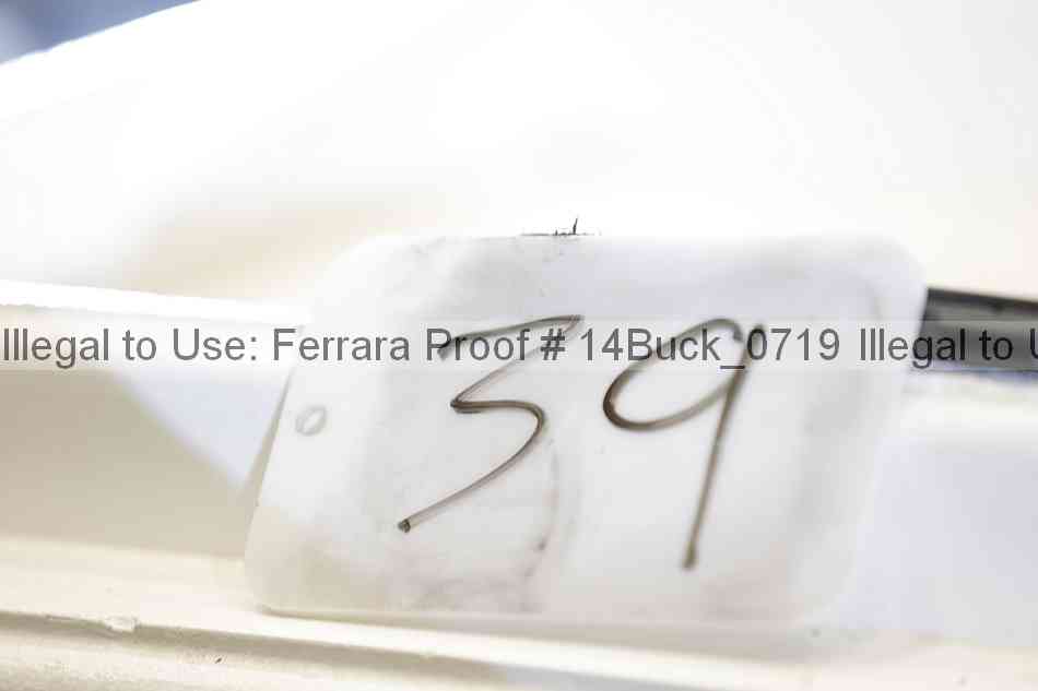 Proof 14buck_0719