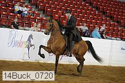 14buck_0720 proof
