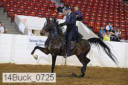 14buck_0725 proof