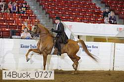 14buck_0727 proof