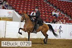 14buck_0729 proof