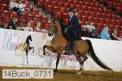 14buck_0731 proof