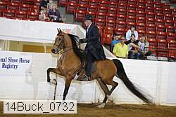 14buck_0732 proof