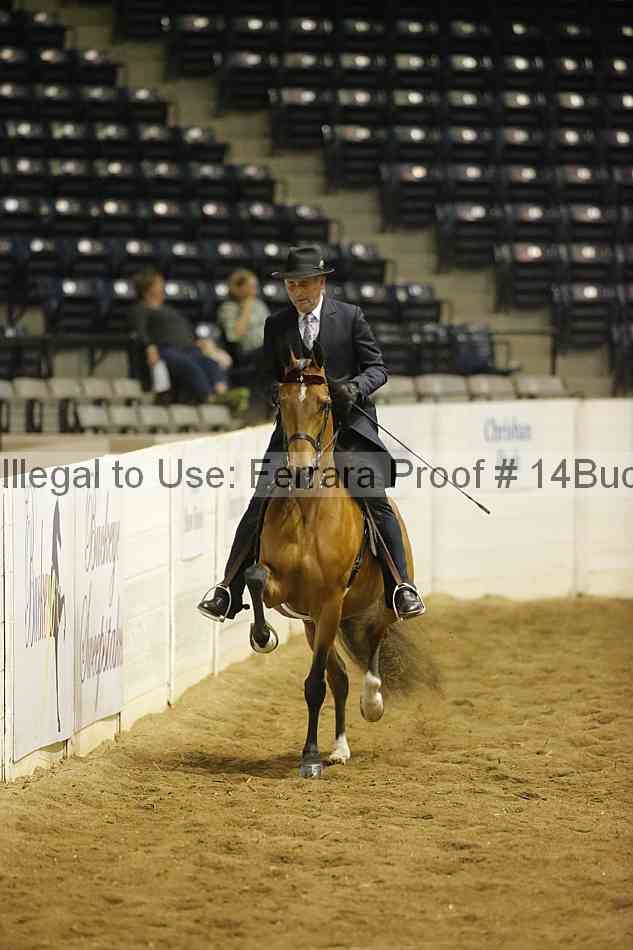 Proof 14buck_0733