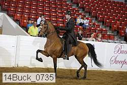 14buck_0735 proof