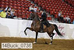 14buck_0736 proof