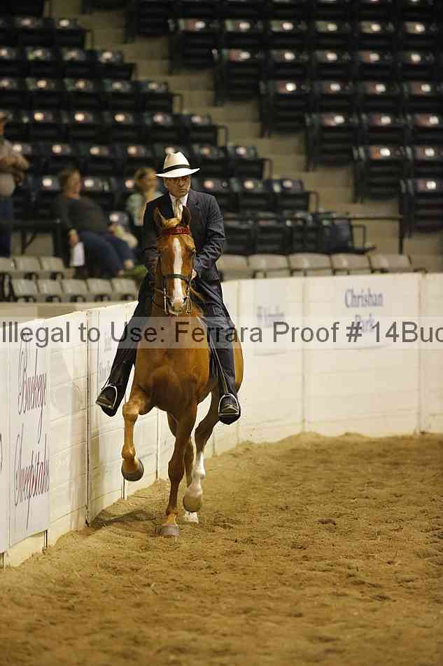 Proof 14buck_0739