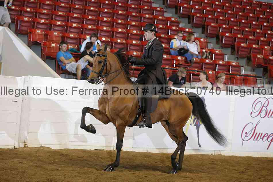 Proof 14buck_0740