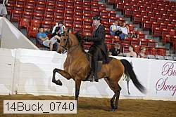 14buck_0740 proof