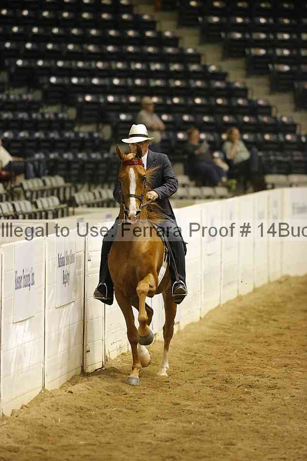 Proof 14buck_0741