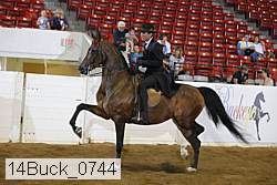 14buck_0744 proof