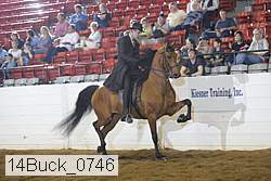 14buck_0746 proof