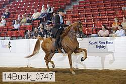 14buck_0747 proof