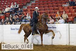 14buck_0748 proof