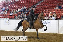 14buck_0750 proof