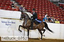14buck_0752 proof