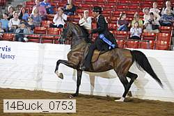 14buck_0753 proof