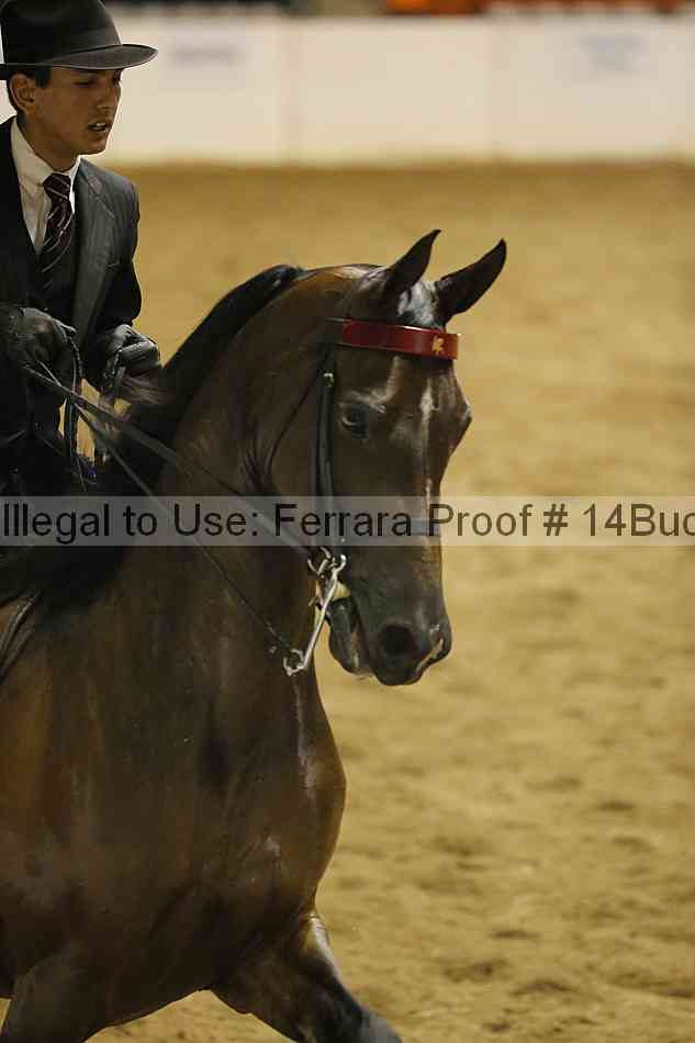 Proof 14buck_0755