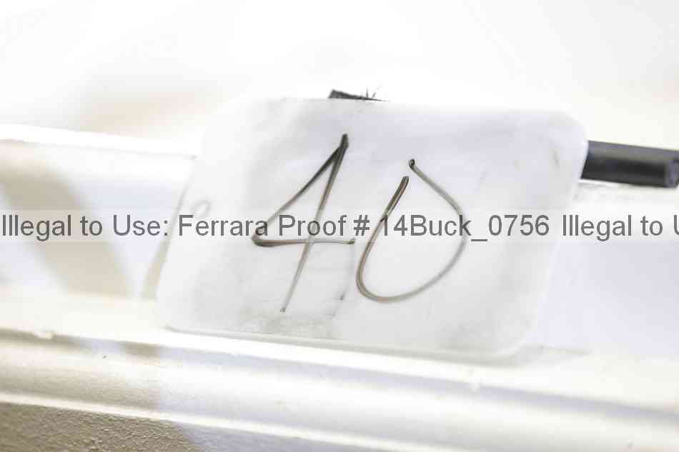 Proof 14buck_0756